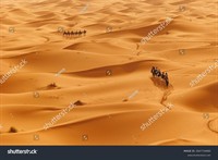 stock-photo-tourists-are-seen-riding-camels-across-sand-dunes-in-to-the-erg-chebbi-dune-sea-located-in-morocco-2647734685.jpg