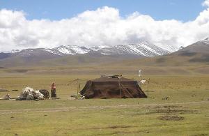 tibetas nomafi.jpg