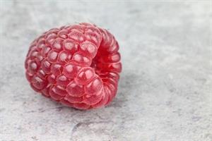 raspberry-2635886_960_720.jpg