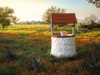 Shutterstock_1187683936_well_aka.jpg