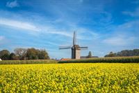 windmill-gbf3d6358a_1280.jpg