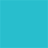 INESE_250206_ttirkizs.png