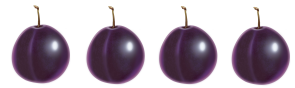 4slivi.png