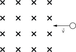 L25копия.png