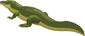 crocodile2.png