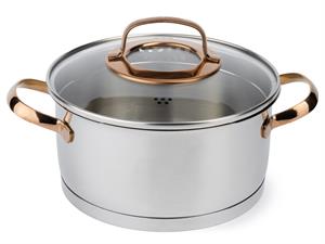 Shutterstock_1805012716_cooking pot_katls.jpg