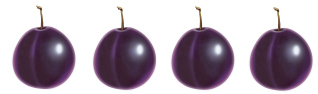 4slivi.png