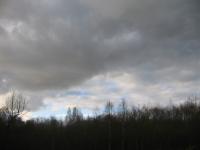 IMG_5143.JPG