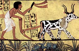 wiki_plowing_farmer_egypt_sennedjem_cattle-1024x668.jpg