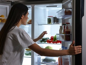 Shutterstock_2441300303_fridge_ledusskapis.jpg