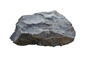 shutterstock_686731045.jpg