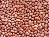 Shutterstock_1404538502_beans_pupas.jpg