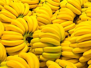 Shutterstock_562736506_bananas_banāni.jpg