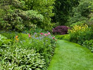 Shutterstock_1913845105_garden_dārzs.jpg