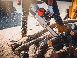 shutterstock_2497468835_chainsaw_motorzāģis.jpg