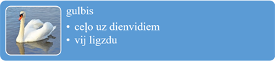gulbis_informacija.png
