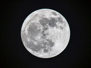 Shutterstock_1196466217.jpg