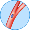 YCUZD_230908_5535_zirgs_1.png